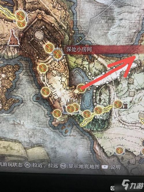 艾尔登法环大卢恩攻略：高效获取技巧揭秘