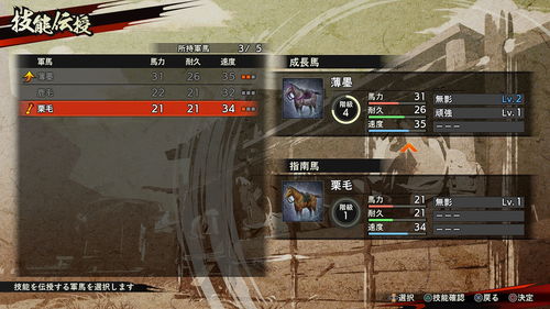 《战国无双5》马匹养成攻略：如何挑选技能提升战斗力？