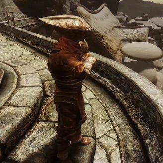 上古卷轴5为啥叫老滚,话说老滚5可以洗点么