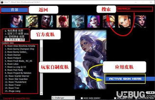 英雄联盟皮肤号交易平台，市场现状、风险与未来发展