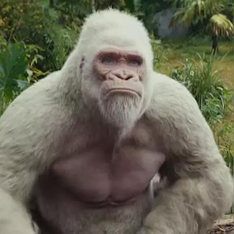 《光环5》全收集攻略揭秘:高效Intel骷髅收集与特殊武器解锁技巧分享 《光环5》全收集攻略揭秘:高效Intel骷髅收集与特殊武器解锁技巧分享