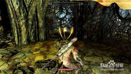 《上古卷轴》怪物详览：上古卷轴5生物图鉴深度解析，探索未知生物奥秘