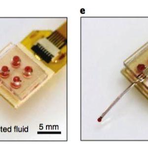 《活体脑细胞》全剧情解谜攻略：深度解析，揭秘游戏谜题新视角