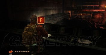 《生化危机启示录2》攻略揭秘：深度解析必胜技巧，新手必看！