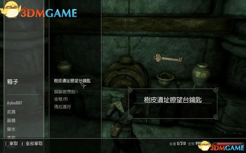 《上古卷轴5天际》攻略第二弹：深度解析，必看秘籍大公开