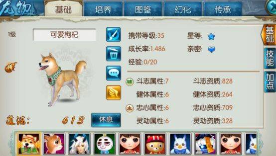 冒险岛sf，新手如何避开坑爹陷阱还收获超爽体验？