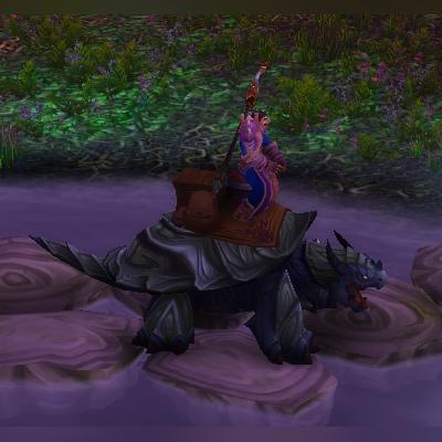 探寻暴风城正义军需官的神秘踪迹