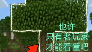 我的世界舞秋风亚特兰蒂斯（亚特兰蒂斯里都有什么秘密）