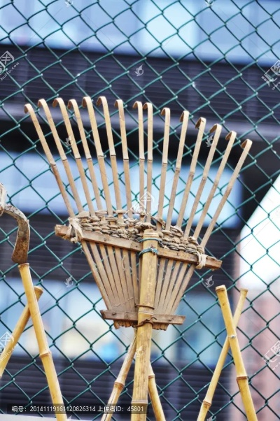 《耙子》全攻略揭秘：新手必看高效技巧解析