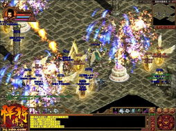 传奇世界sf稳定对比？玩家必看，稳服挑选终极秘籍