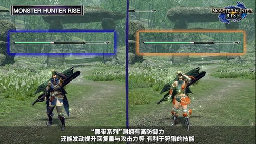 《怪物猎人崛起》曙光3.0棘茶笛最强搭配攻略！揭秘高效配装技巧