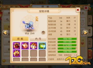 珊瑚岛升级攻略：高效扩充背包，轻松管理库存宝藏