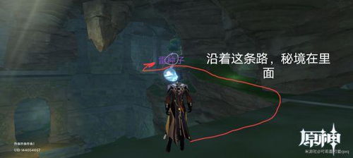 沙下秘境深度攻略：《原神》沙下之囿探索秘籍，解锁隐藏宝藏