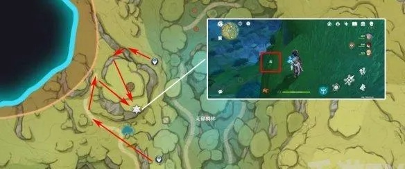 《原神》高效劫波莲采集攻略:解锁快速升级新秘籍 《原神》高效劫波莲采集攻略:解锁快速升级新秘籍