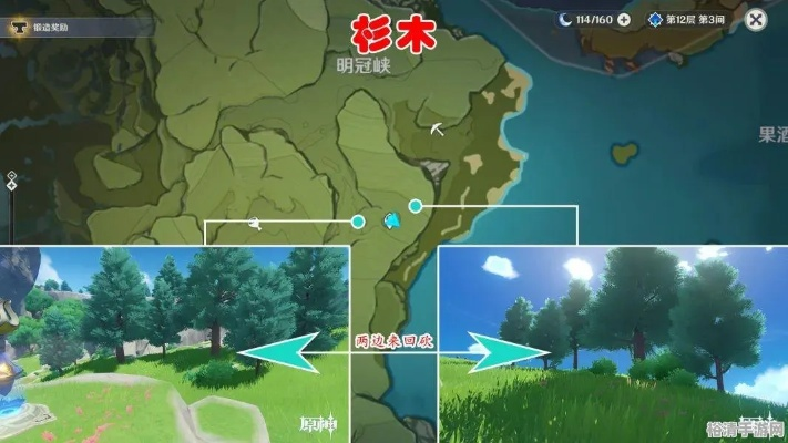 《原神》3.1版柽木高效采集攻略：解锁神秘资源新途径