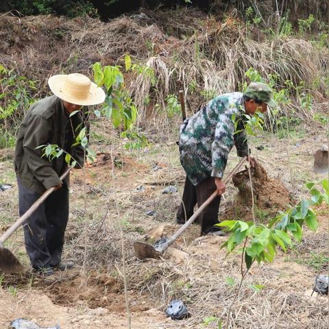 传奇sf新版本独家开荒实录，双倍爆率副本竟让老区物价崩盘？