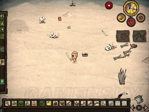 《饥荒》海难生存攻略：必备食谱与怪物解析大全揭秘