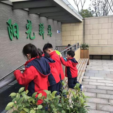 dnf公益服人气对比，玩家蜂拥的热门服，竟是游戏体验的终极陷阱？