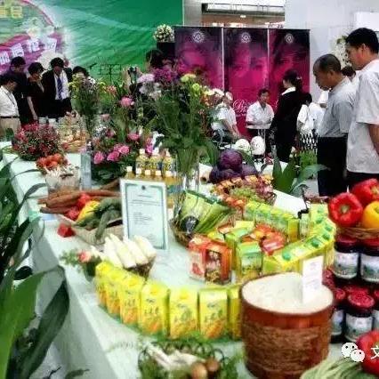 《三国志13》名品图鉴属性解析：揭秘全名品强大效果与价值