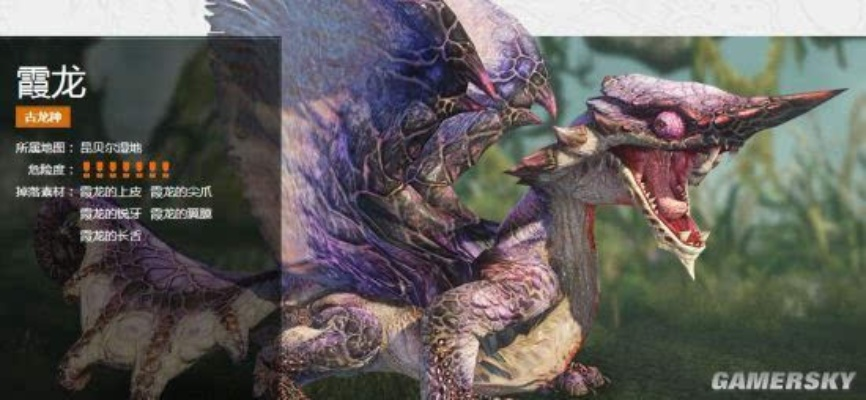 霞龙招式解析！怪异克服技巧，轻松猎杀《怪物猎人崛起》霞龙攻略大揭秘