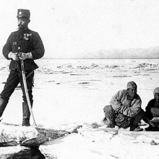 羊了个羊10.15第二关必胜攻略：高效通关技巧揭秘