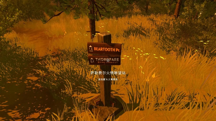 《看火人》全剧情攻略揭秘：深度解析图文攻略，助你轻松通关