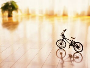 美体免费无下载，高清素材尽在其中