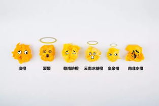 愿望宝盒,它包含了什么好东西? 愿望宝盒,它包含了什么好东西?