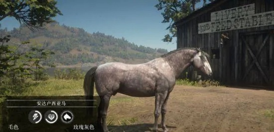 《荒野大镖客2》马匹驯服攻略：属性解析与默契提升技巧揭秘