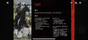 《荒野大镖客2》纯黑全金牌攻略揭秘：掌握绝密技巧，轻松通关！