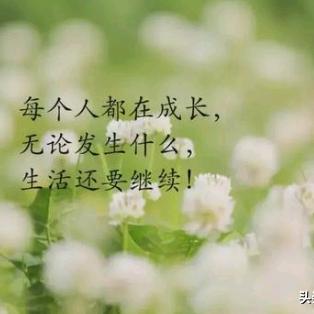 振奋铠甲和自然之力强不强?看完这篇你就懂了! 振奋铠甲和自然之力强不强?看完这篇你就懂了!