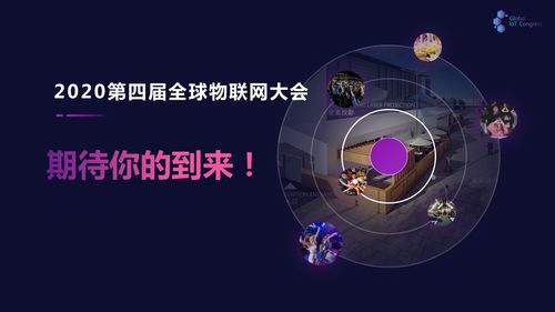 智力宝珠2020，探索智慧宇宙的神秘之钥