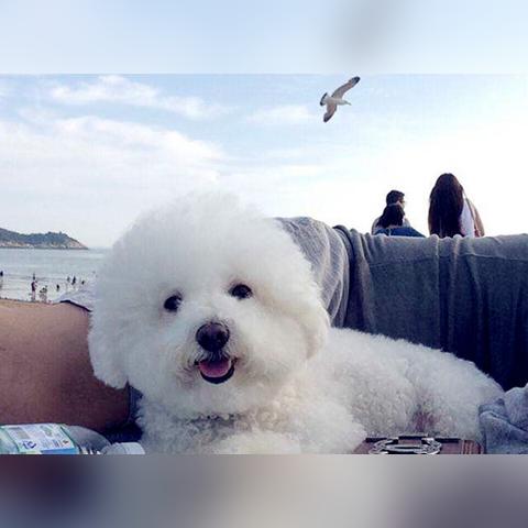 时间宠经验表,怎么才能让它更快升级？