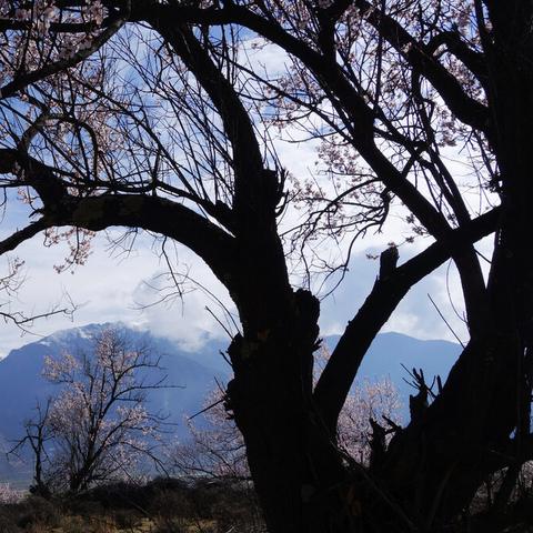 小游戏攻略,末班车游戏攻略