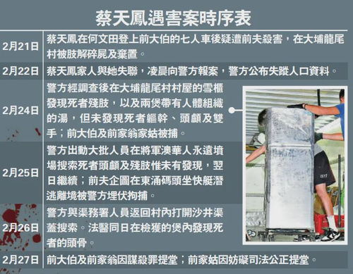 案件攻略深度解析