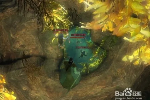 激战2凯席斯山探索点全解析：隐藏宝藏与秘密成就等你发现！