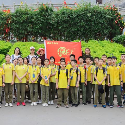 《生存之旅2》新手必看！掌握生存技巧，解锁游戏新境界