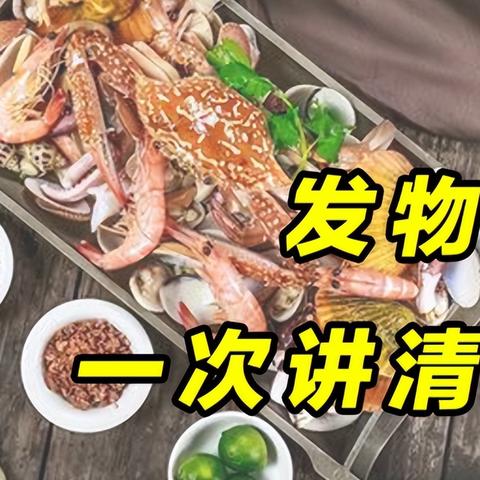 〈超级机器人大战 Z，破界篇〉机体深度剖析