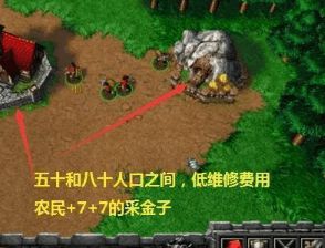 《魔兽争霸3》兵潮制胜攻略：掌握十大核心策略，轻松掌控战场局势