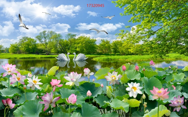 35图库大全,哪些通透的忠言很实用