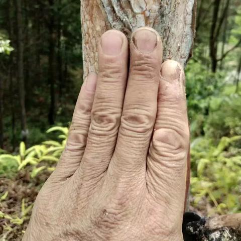 英雄联盟职业,有哪些不为人知的辛酸故事? 英雄联盟职业,有哪些不为人知的辛酸故事?