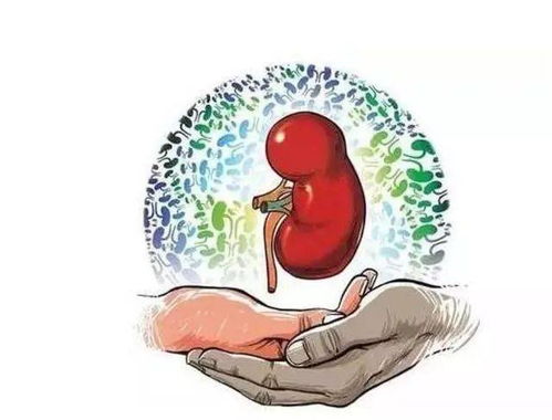 戾气危机,是社会病还是人性病