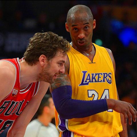 永恒之光森林寻小弟必备技巧，轻松招募10名得力助手攻略揭秘