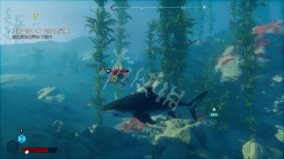 《食人鲨》全地图攻略大揭秘：独家收藏技巧助你畅游深海