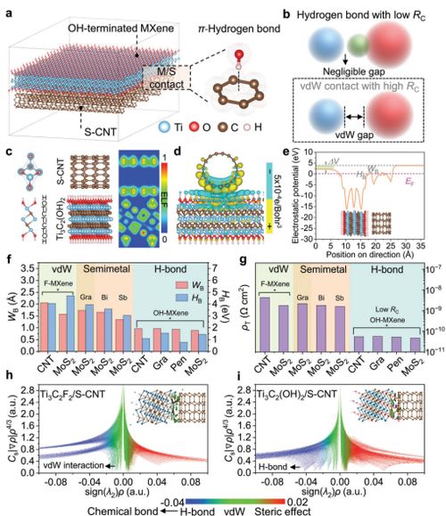 研究生院的功能与发展前景解析