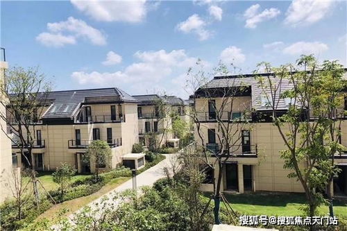 哪里有仙踪林大豆行情网老狼?这个网站千万别错过! 哪里有仙踪林大豆行情网老狼?这个网站千万别错过!