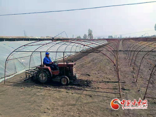 《坦克世界》助农行动，助力乡村振兴，打通致富“最后一公里”新通道