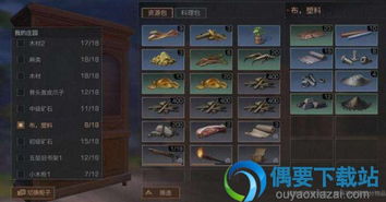 明日之后攻略大全新手 快速发展,发展攻略全解析