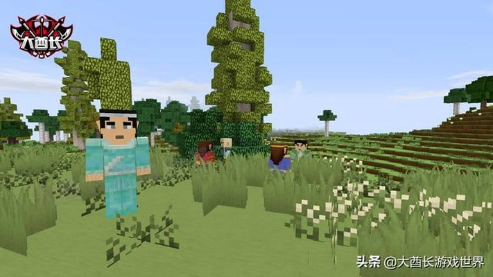 《我的世界》高手与新手对决揭秘:深度解析两大阵营差异与技巧! 《我的世界》高手与新手对决揭秘:深度解析两大阵营差异与技巧!