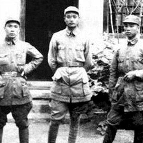 保卫萝卜挑战44攻略图文详解，轻松通关不是梦